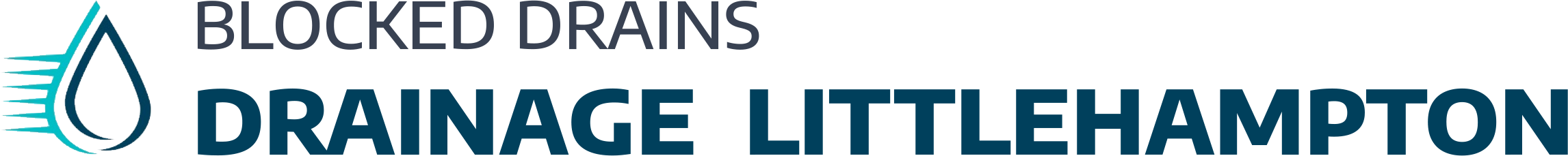 website logo